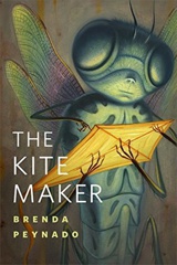 Cover of The Kite Maker. 