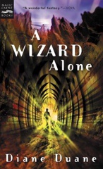Cover of A Wizard Alone. 