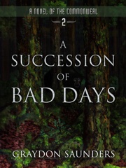 Cover of A Succession of Bad Days. 