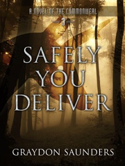 Cover of Safely You Deliver. 